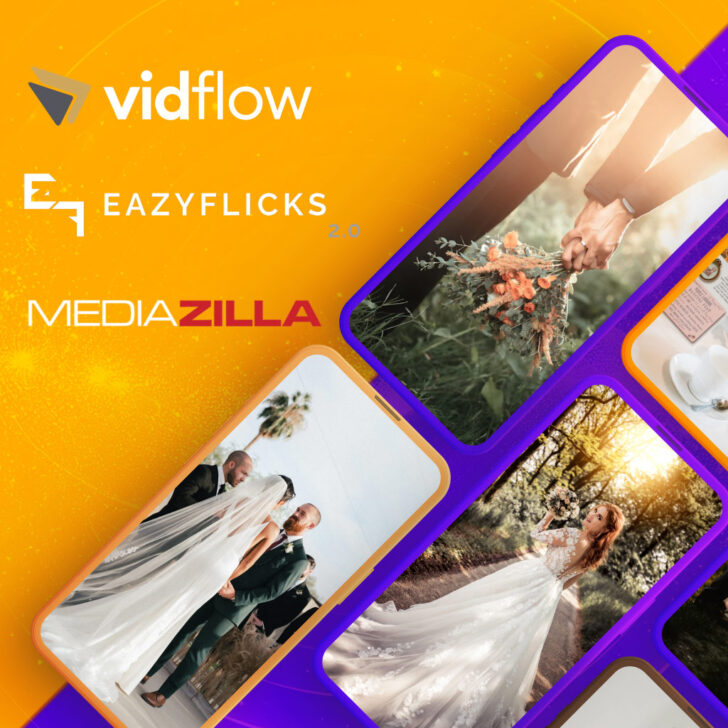Best Wedding Video Delivery Platforms in 2024